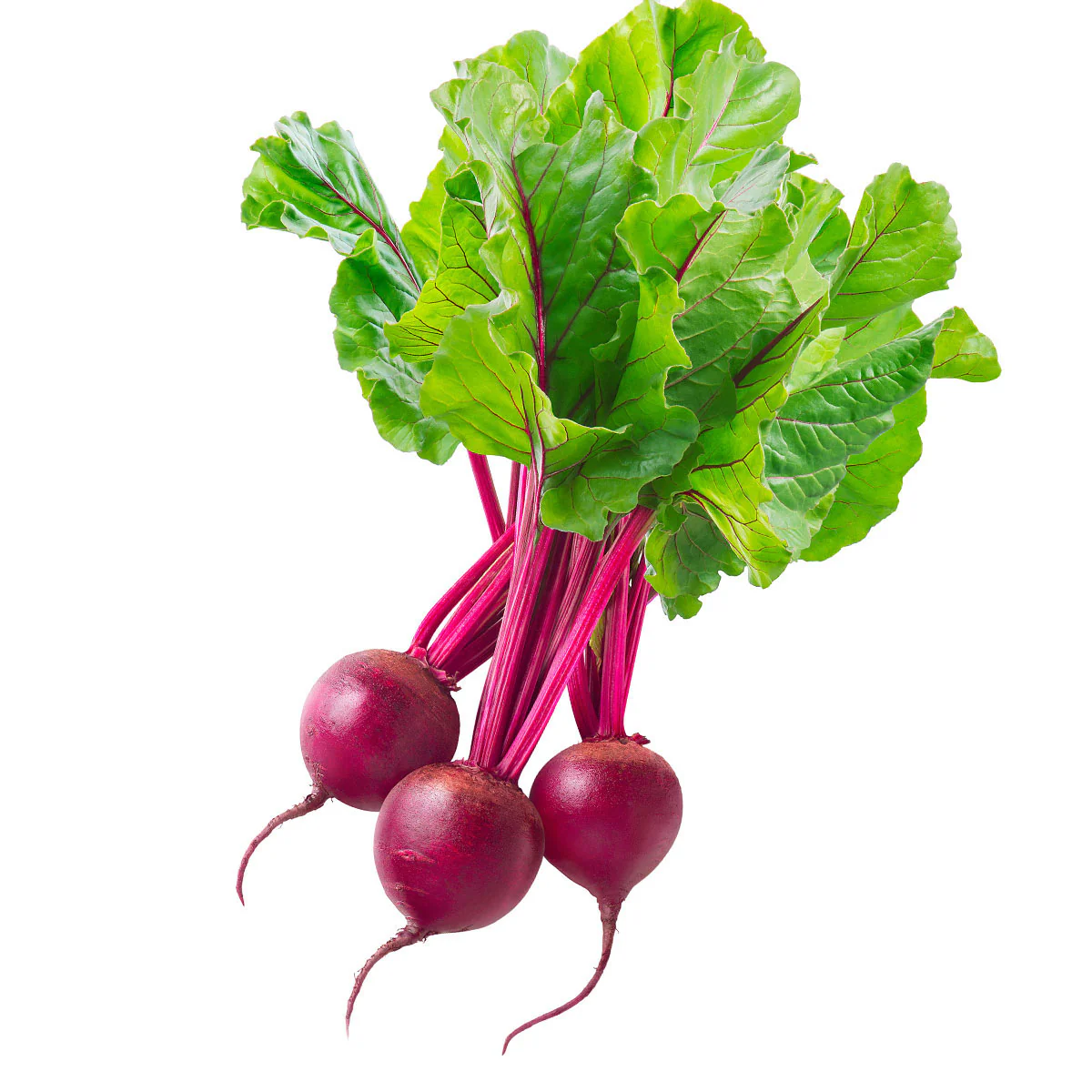 Beetroot Bunch