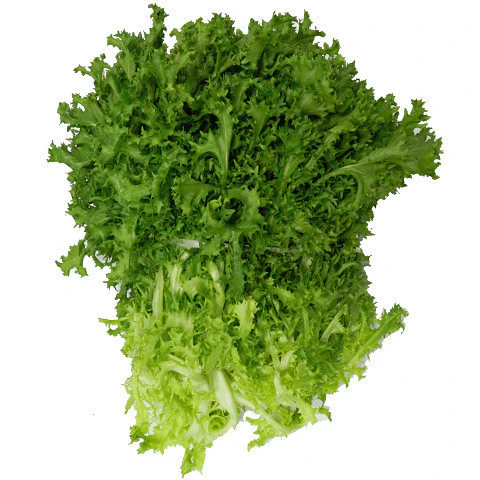 Endive Bunch Each