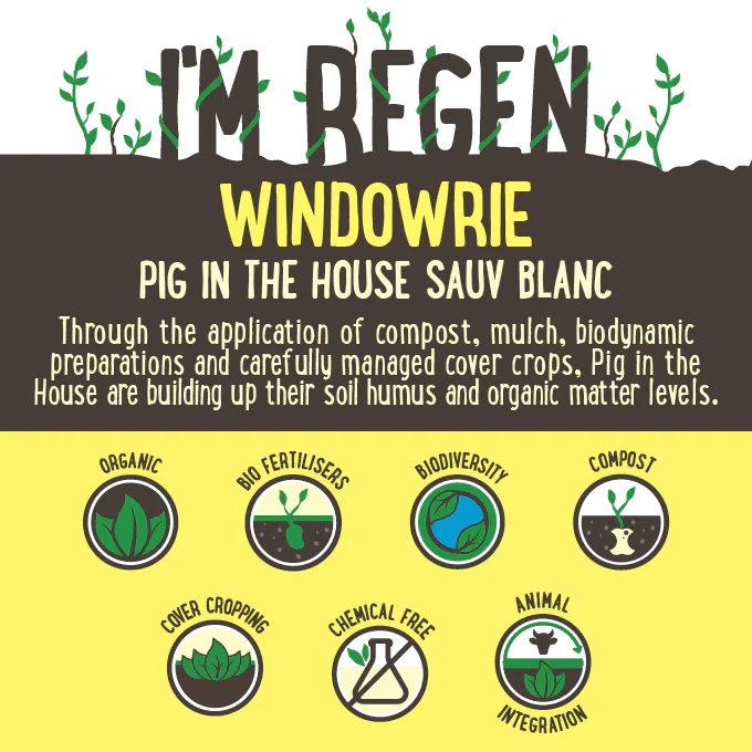 Pig in the House Sauvignon Blanc Wine 750ml - Image 2