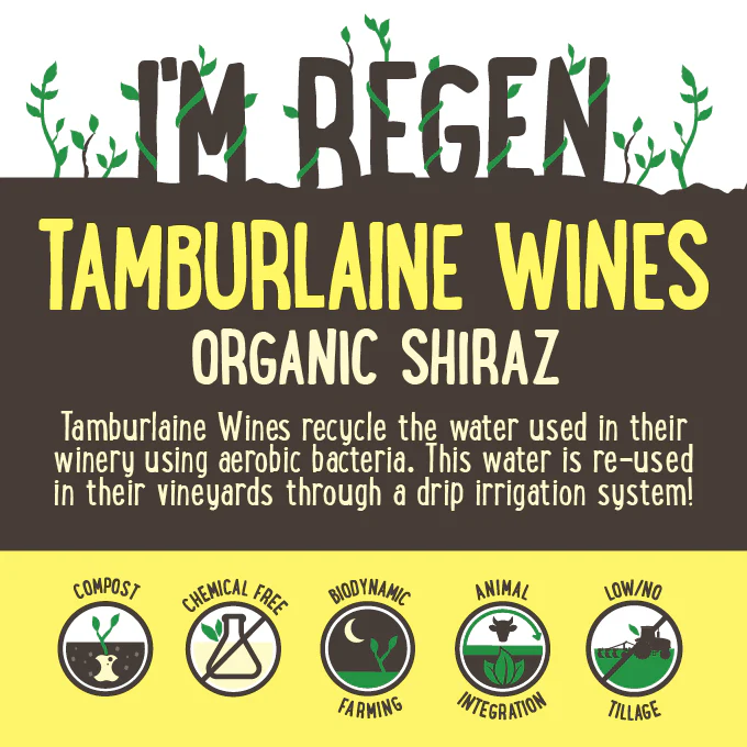 Tamburlaine Organic No Preservatives Added Shiraz NSW 750ml - Image 2